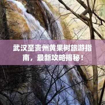 2025年2月13日 第11頁