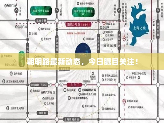 朝明路最新動(dòng)態(tài)，今日矚目關(guān)注！