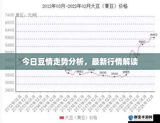 今日豆情走勢(shì)分析，最新行情解讀