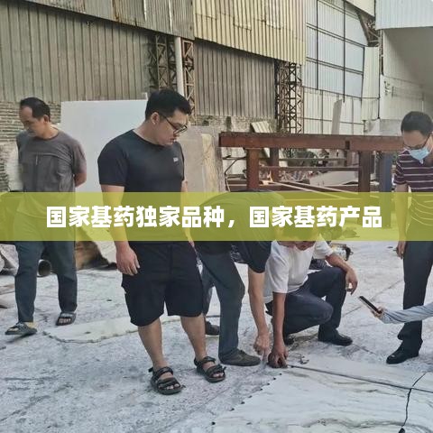國家基藥獨家品種，國家基藥產(chǎn)品 