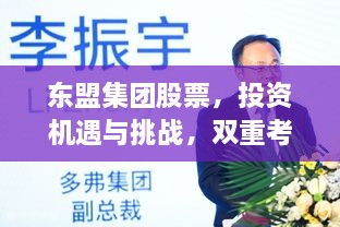 東盟集團(tuán)股票，投資機(jī)遇與挑戰(zhàn)，雙重考量不容錯過