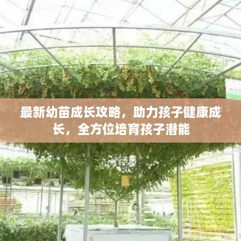 最新幼苗成長攻略，助力孩子健康成長，全方位培育孩子潛能