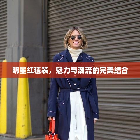 明星紅毯裝，魅力與潮流的完美結(jié)合
