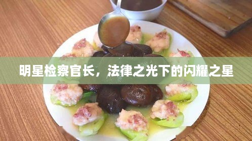 明星檢察官長(zhǎng)，法律之光下的閃耀之星
