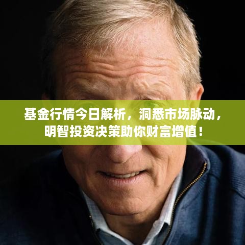 基金行情今日解析，洞悉市場脈動，明智投資決策助你財富增值！