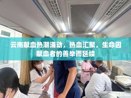 云南獻血熱潮涌動，熱血匯聚，生命因獻血者的善舉而延續(xù)