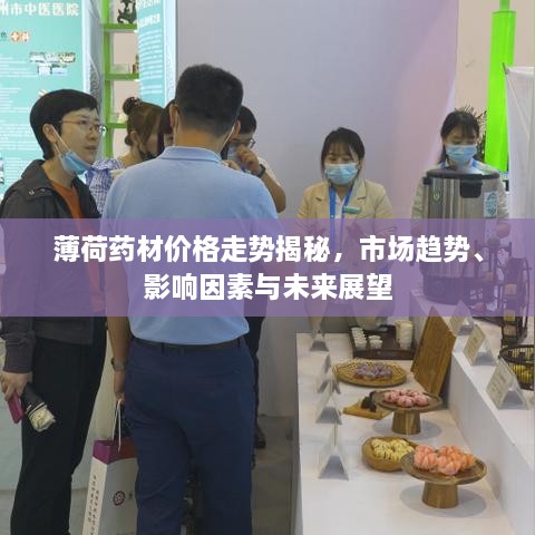 薄荷藥材價(jià)格走勢(shì)揭秘，市場(chǎng)趨勢(shì)、影響因素與未來展望