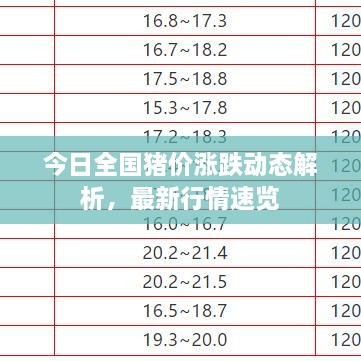 今日全國豬價(jià)漲跌動(dòng)態(tài)解析，最新行情速覽