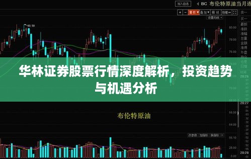 華林證券股票行情深度解析，投資趨勢與機(jī)遇分析