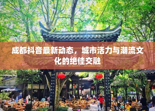 成都抖音最新動(dòng)態(tài)，城市活力與潮流文化的絕佳交融
