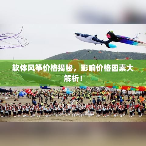 軟體風(fēng)箏價(jià)格揭秘，影響價(jià)格因素大解析！