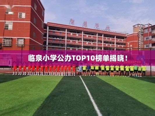 臨泉小學(xué)公辦TOP10榜單揭曉！