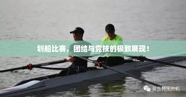 劃船比賽，團(tuán)結(jié)與競技的極致展現(xiàn)！
