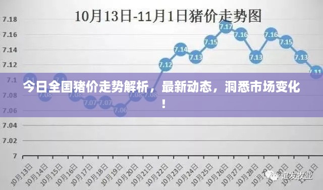 今日全國(guó)豬價(jià)走勢(shì)解析，最新動(dòng)態(tài)，洞悉市場(chǎng)變化！