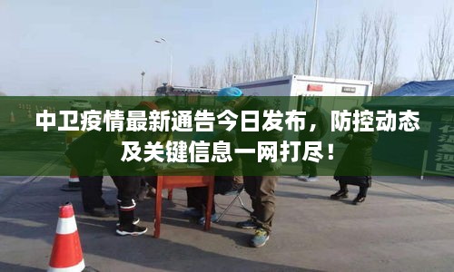 中衛(wèi)疫情最新通告今日發(fā)布，防控動態(tài)及關鍵信息一網打盡！