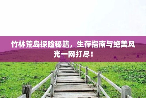 竹林荒島探險秘籍，生存指南與絕美風光一網打盡！