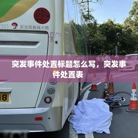 突發(fā)事件處置標(biāo)題怎么寫，突發(fā)事件處置表 