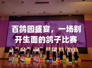 百鴿園盛宴，一場別開生面的鴿子比賽盛宴！