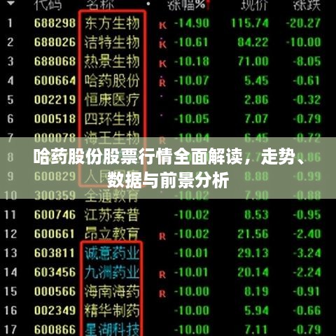 哈藥股份股票行情全面解讀，走勢(shì)、數(shù)據(jù)與前景分析