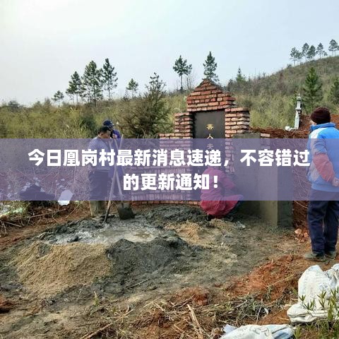 今日凰崗村最新消息速遞，不容錯(cuò)過的更新通知！