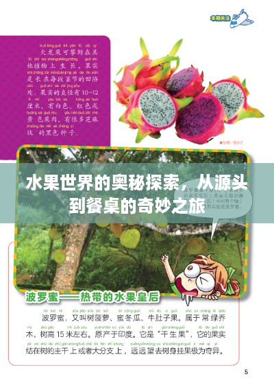 水果世界的奧秘探索，從源頭到餐桌的奇妙之旅