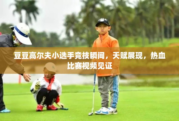 豆豆高爾夫小選手競(jìng)技瞬間，天賦展現(xiàn)，熱血比賽視頻見(jiàn)證