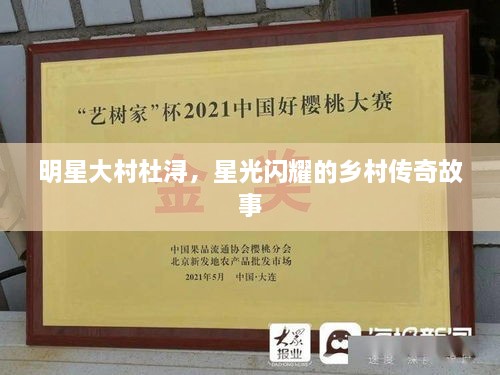 明星大村杜潯，星光閃耀的鄉(xiāng)村傳奇故事
