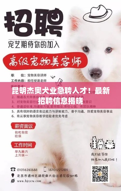 昆明杰奧犬業(yè)急聘人才！最新招聘信息揭曉