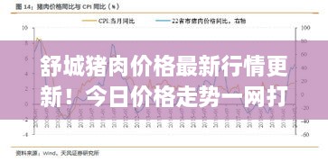 舒城豬肉價(jià)格最新行情更新！今日價(jià)格走勢(shì)一網(wǎng)打盡