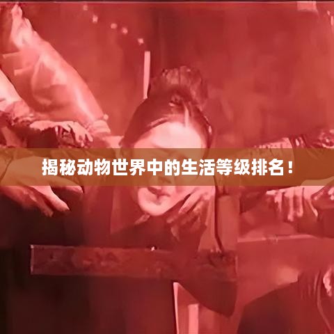 揭秘動(dòng)物世界中的生活等級(jí)排名！