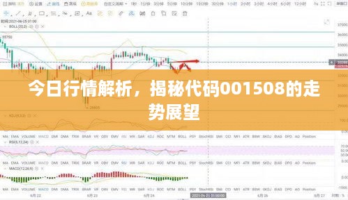 今日行情解析，揭秘代碼001508的走勢展望