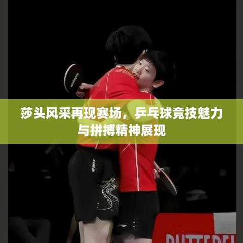 莎頭風(fēng)采再現(xiàn)賽場(chǎng)，乒乓球競(jìng)技魅力與拼搏精神展現(xiàn)