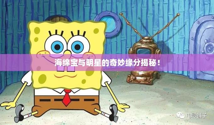海綿寶與明星的奇妙緣分揭秘！