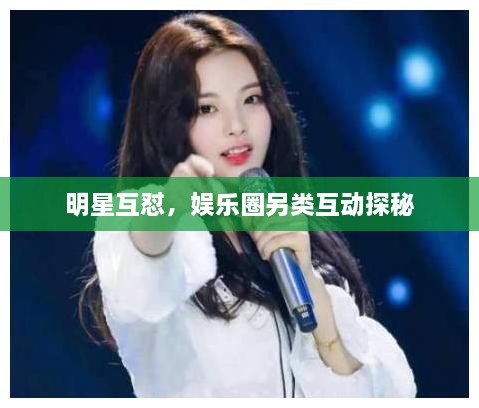 明星互懟，娛樂圈另類互動(dòng)探秘