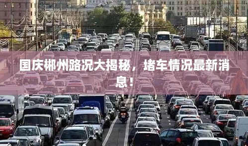 國慶郴州路況大揭秘，堵車情況最新消息！