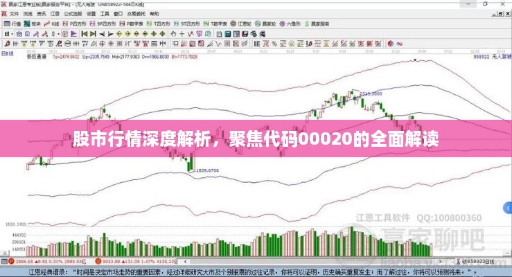 股市行情深度解析，聚焦代碼00020的全面解讀