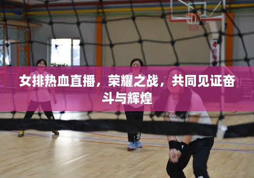 女排熱血直播，榮耀之戰(zhàn)，共同見證奮斗與輝煌