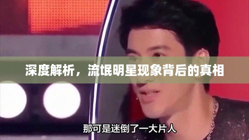 深度解析，流氓明星現(xiàn)象背后的真相