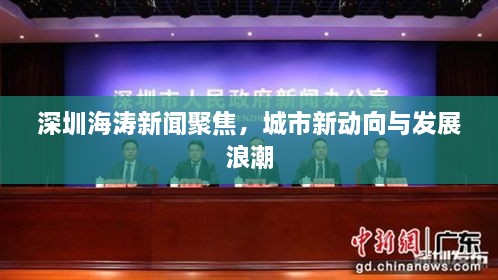 深圳海濤新聞聚焦，城市新動向與發(fā)展浪潮