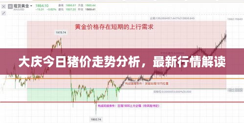 大慶今日豬價(jià)走勢(shì)分析，最新行情解讀