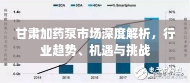 甘肅加藥泵市場深度解析，行業(yè)趨勢、機遇與挑戰(zhàn)