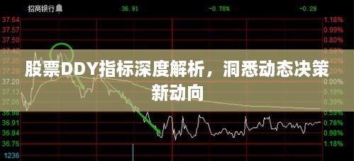 股票DDY指標(biāo)深度解析，洞悉動(dòng)態(tài)決策新動(dòng)向