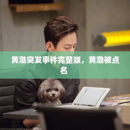 黃渤突發(fā)事件完整版，黃渤被點名 