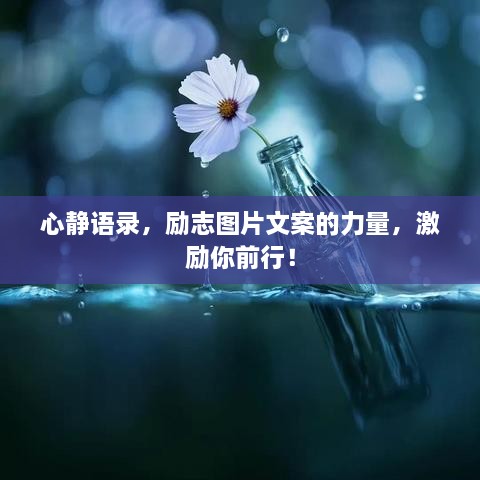 心靜語錄，勵志圖片文案的力量，激勵你前行！