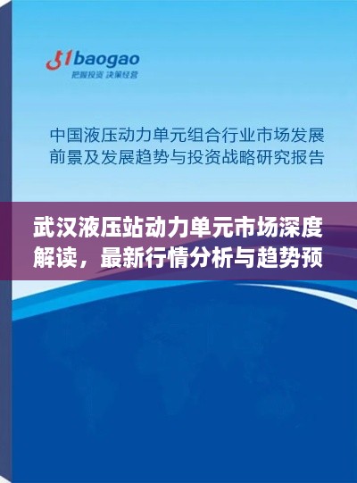 武漢液壓站動(dòng)力單元市場(chǎng)深度解讀，最新行情分析與趨勢(shì)預(yù)測(cè)