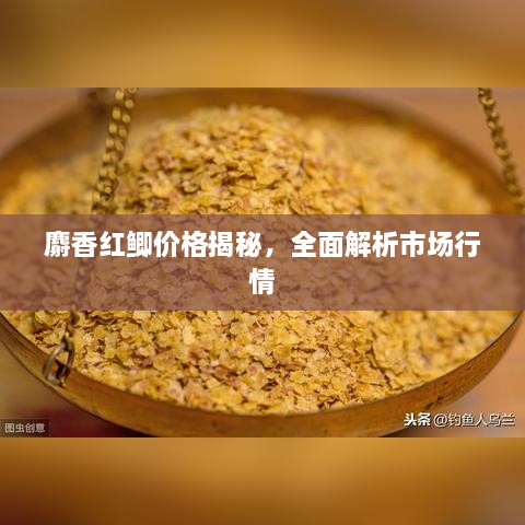 麝香紅鯽價(jià)格揭秘，全面解析市場(chǎng)行情
