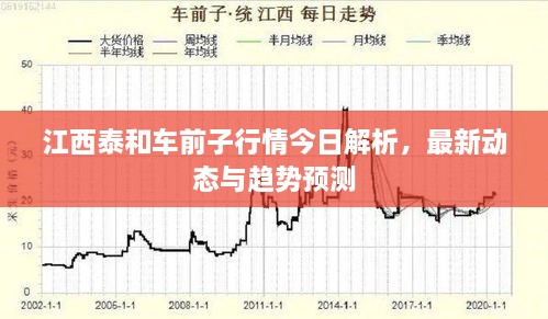 江西泰和車前子行情今日解析，最新動(dòng)態(tài)與趨勢預(yù)測