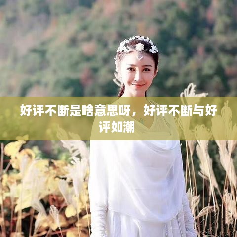 好評(píng)不斷是啥意思呀，好評(píng)不斷與好評(píng)如潮 