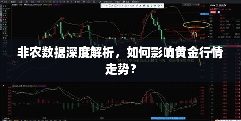 非農(nóng)數(shù)據(jù)深度解析，如何影響黃金行情走勢(shì)？