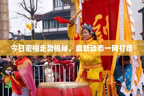 今日密柚走勢揭秘，最新動(dòng)態(tài)一網(wǎng)打盡